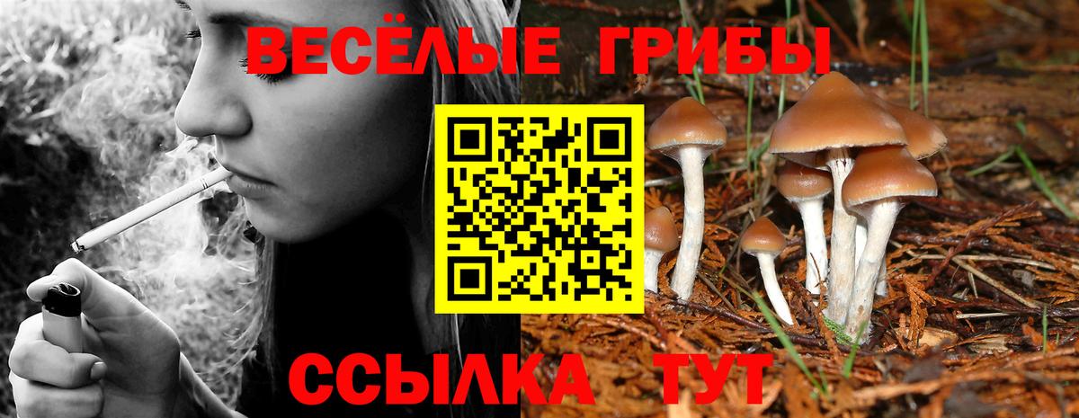 Галлюциногенные грибы GOLDEN TEACHER Каспийск